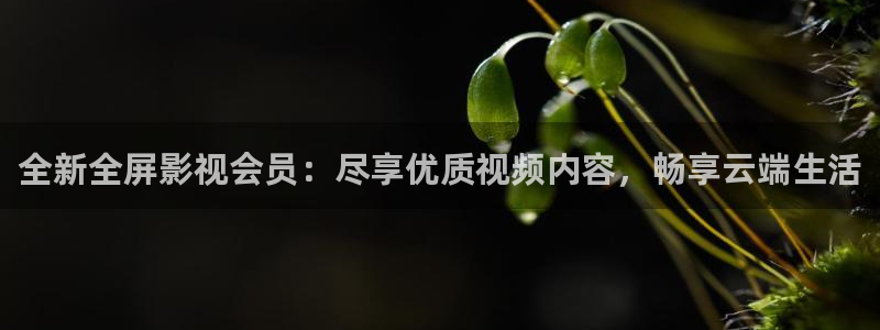 飘雪影院在线观看免费播放最新