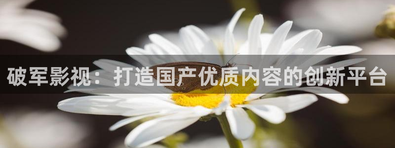 飘雪影视网