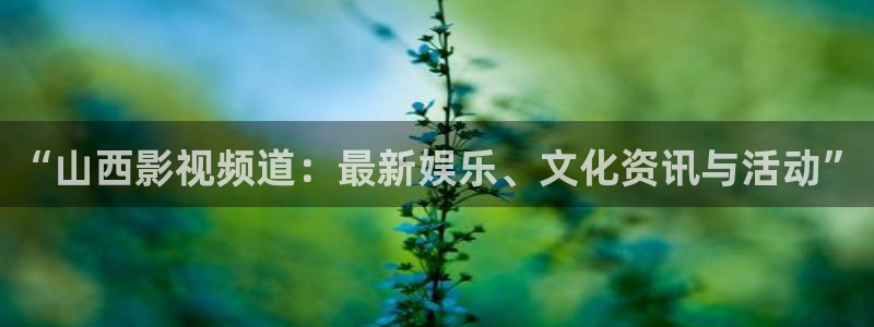 飘雪影视在线播放