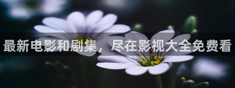 飘雪影院电影在线观看记录