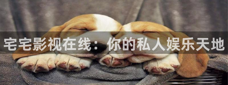 飘雪影院免费版