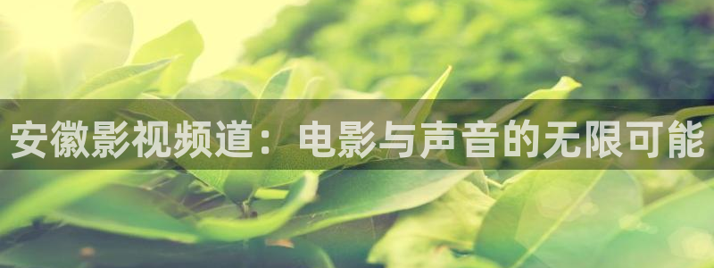飘雪影院理论片：安徽影视频道：电影与声音的无限可能