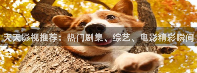 飘雪影院高清电影免费播放：天天影视推荐：热门剧集、综艺、电影精彩瞬间