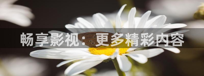 飘雪影院网